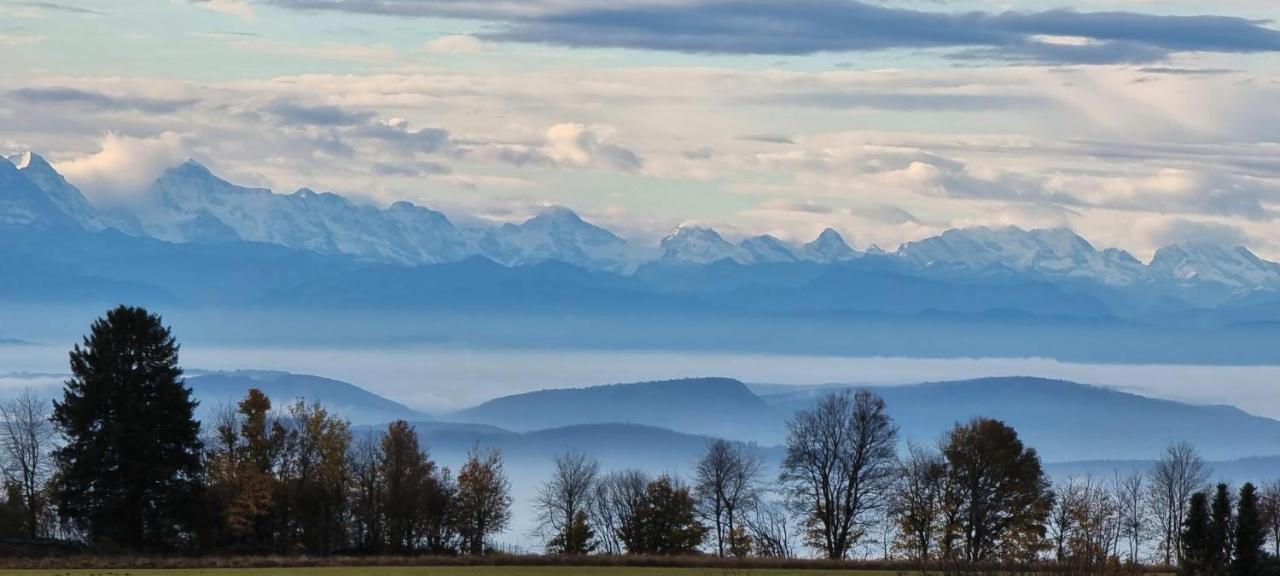 Bio- Und Wellnesshotel Alpenblick Höchenschwand Esterno foto