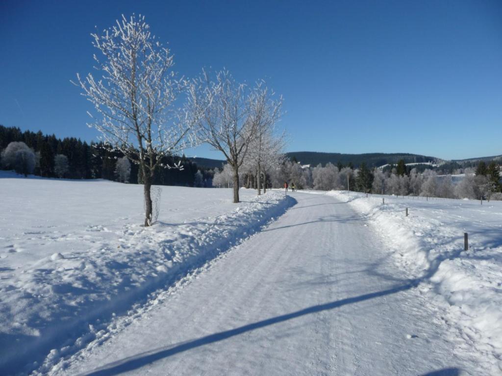 Bio- Und Wellnesshotel Alpenblick Höchenschwand Esterno foto