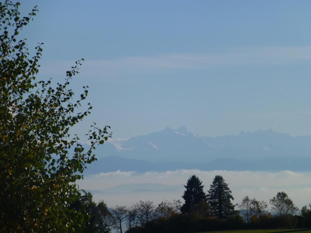 Bio- Und Wellnesshotel Alpenblick Höchenschwand Esterno foto