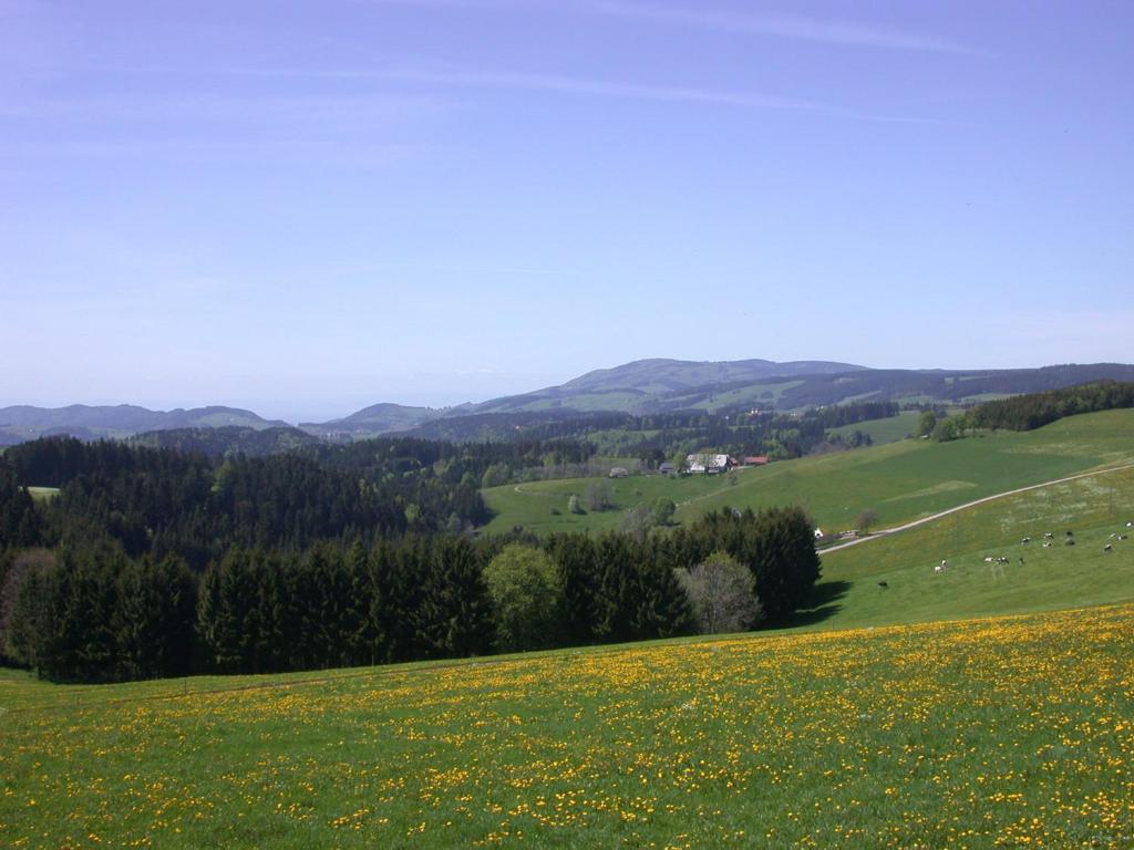 Bio- Und Wellnesshotel Alpenblick Höchenschwand Esterno foto